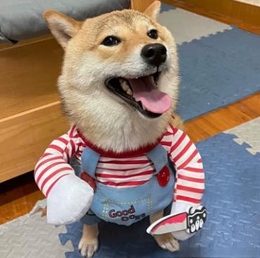 Halloween Pet Costume Pet Dog Funny Clothes Adjustable Dog Cosplay Costume Scary Costume Party Gatherings
