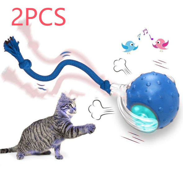 Interactive Cat Toy Ball Super Drive Cat Rolling Ball